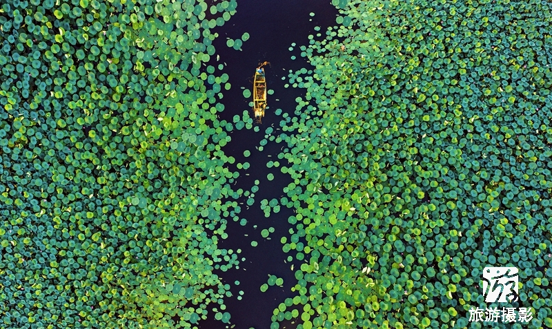 ϵӽǿ