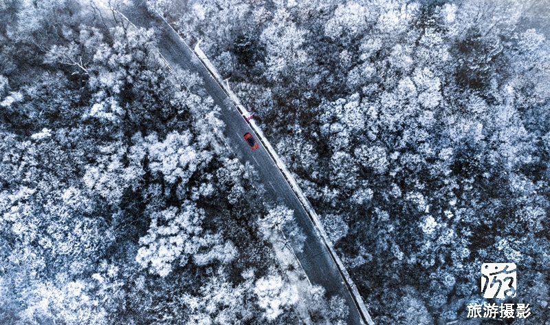 ϵӽǿ